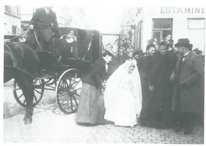 Van Caillie (1991, pl. 22)