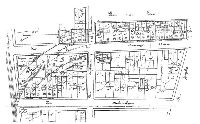Van Caillie (1991, pl. 27)