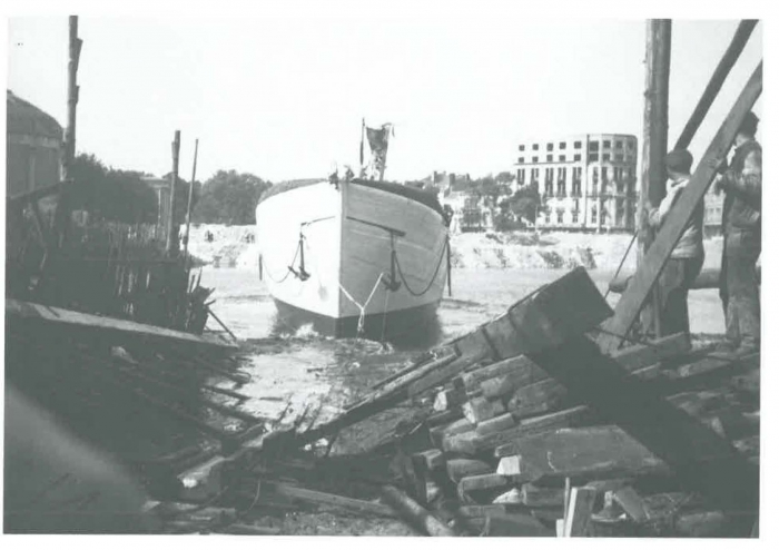 Van Caillie (1991, pl. 135)