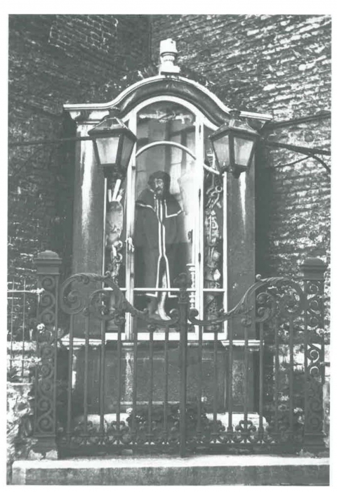 Van Caillie (1991, pl. 137)