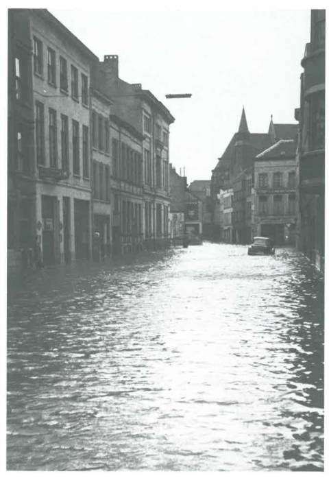 Van Caillie (1991, pl. 161)