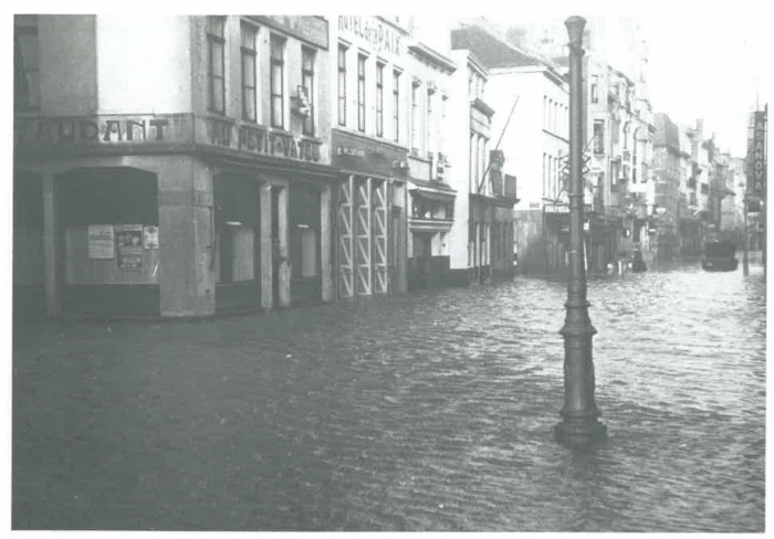 Van Caillie (1991, pl. 162)