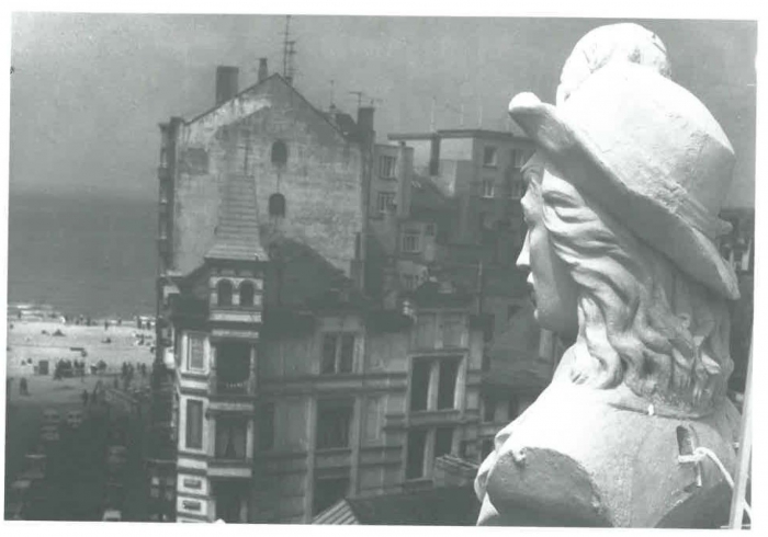 Van Caillie (1991, pl. 172)