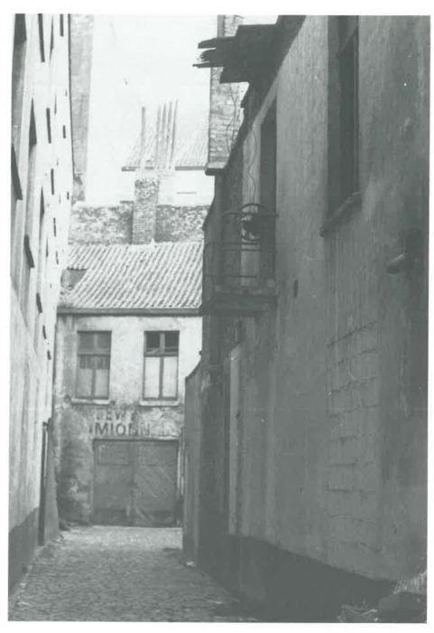 Van Caillie (1991, pl. 178)