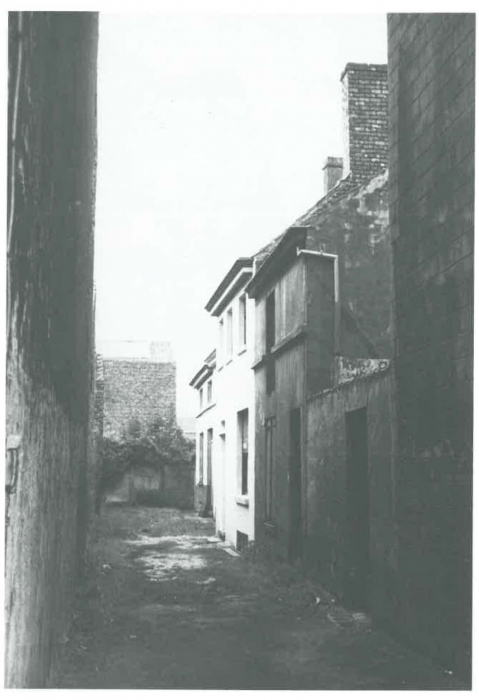 Van Caillie (1991, pl. 182)