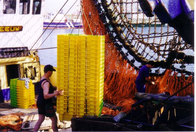 Laden lege viskisten te Zeebrugge