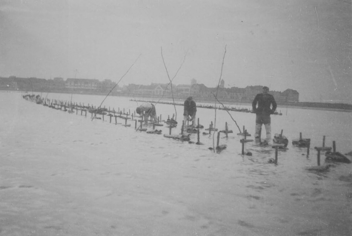 Oesterkweek in de Spuikom, 1937-1938 Oesterkweek in de Spuikom, 1937-1938