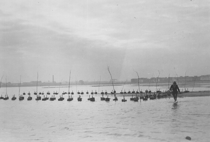 Oesterkweek in de Spuikom, 1937-1938 Oesterkweek in de Spuikom, 1937-1938