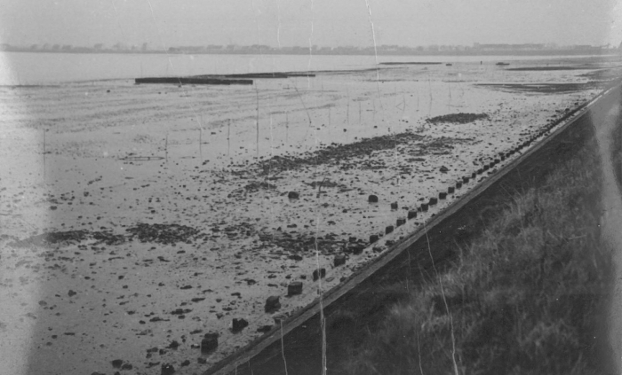 Oesterkweek in de Spuikom, 1940 Oesterkweek in de Spuikom, 1940