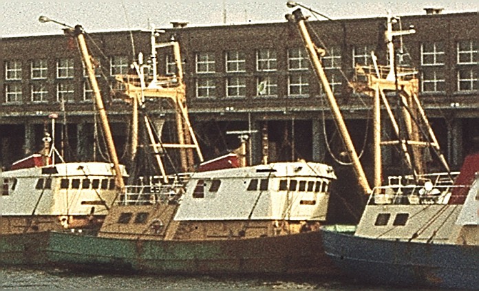 Z.44 De Caine