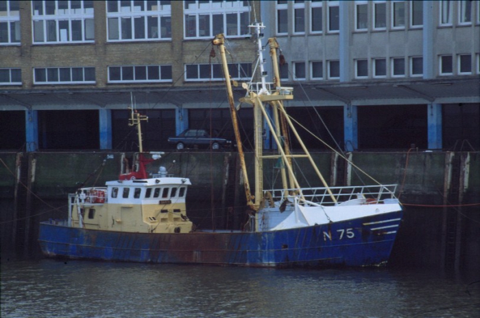 N.75 SARVY