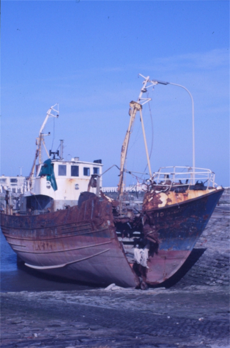O.118 DANDY