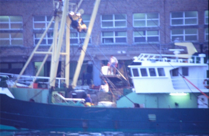 Z.19 SONJA