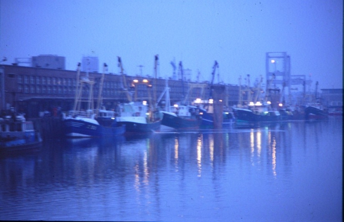 lossen