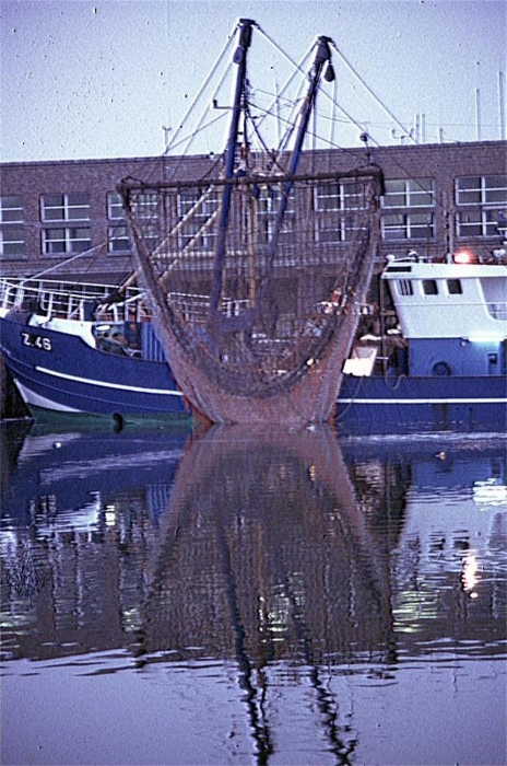 Z.46 NEPTUNUS