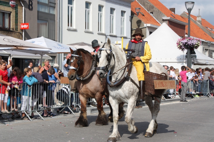 Paardenvissers