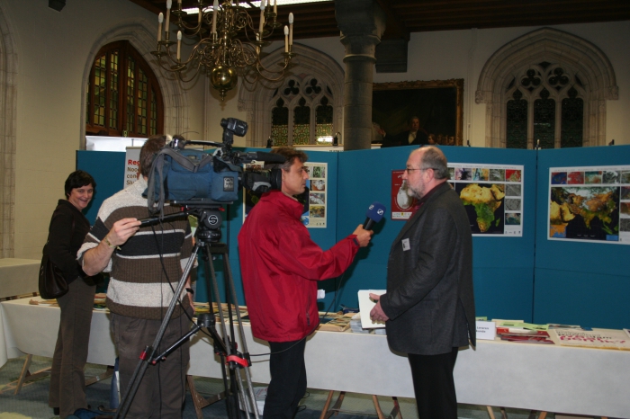 focus TV