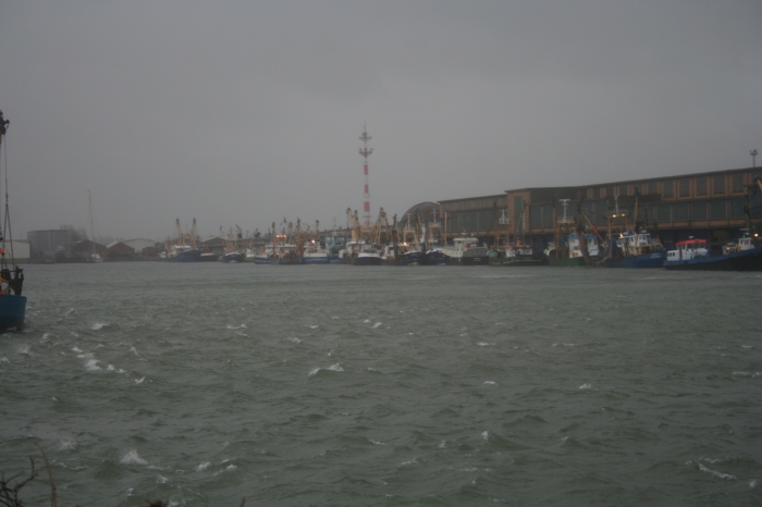 Storm