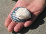 JPG file