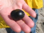 Vondsten Lenteprikkel 2006