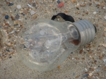Gloeilamp