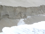 Erosie strand