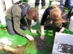 bemonstering van de Stroombank