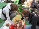 bemonstering van de Stroombank