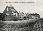 Helgoland in 1908