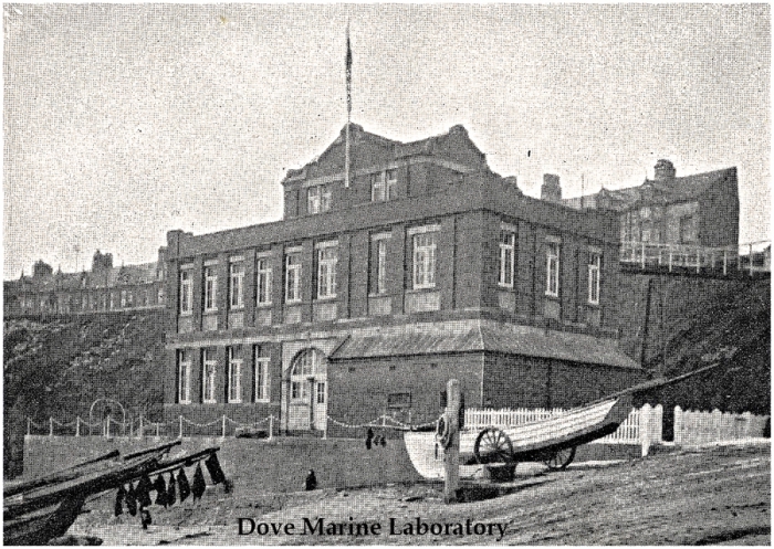 Dove Marine Laboratory in 1909