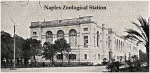 The Naples Lab in 1908