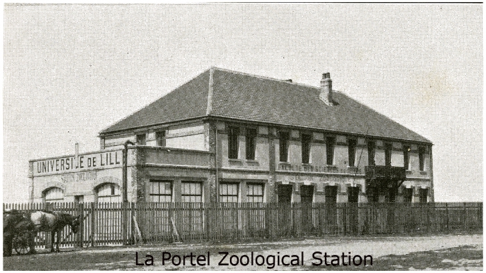 Université de Lille- Portel Station in 1908