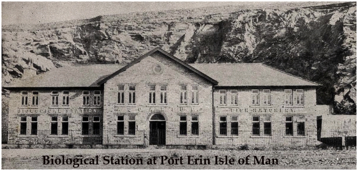 Isle of Man Station in 1908
