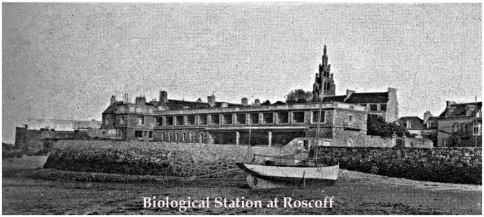 Station Biologique Roscoff  in 1908
