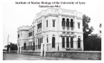 Institute of Marine Biology of the Univerrsity of Lyon, Tamaris-sur-Mer