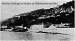 Villefranche-sur-Mer in 1908.
