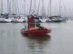 Zeekat in de haven van Oostende