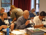 Cursus determineren mosdiertjes
