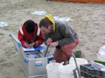 De Panne - start sampling