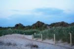 Duinen te Vosseslag