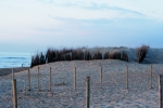 Duinen te Vosseslag