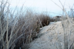 Duinen