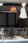 Nemo
