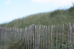 Duinen