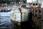 Schip