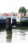 Sluis