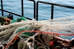 Visnet