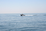 Bootje