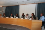Panel