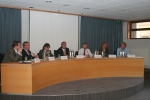 Panel